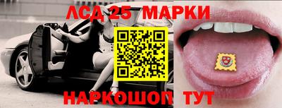 стафф Донской