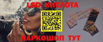 прущие грибы Дубна