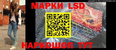стафф Донской