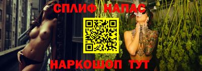 прущие грибы Дубна
