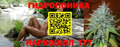 стафф Донской